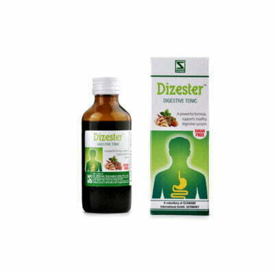 Willmar Schwabe India Dizester (100ml)