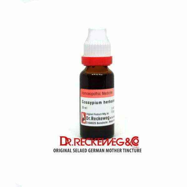 Dr. Reckeweg Gossypium Herbaceum Q