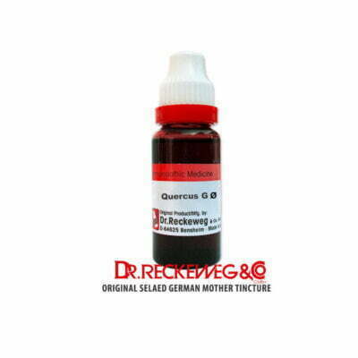 Dr. Reckeweg Quercus G. Spi Q
