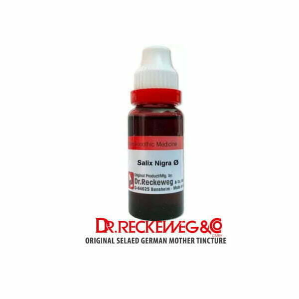 Dr. Reckeweg Salix Nigra Q