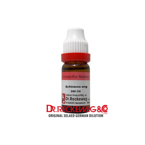 Dr. Reckeweg Echinacea ang 200CH