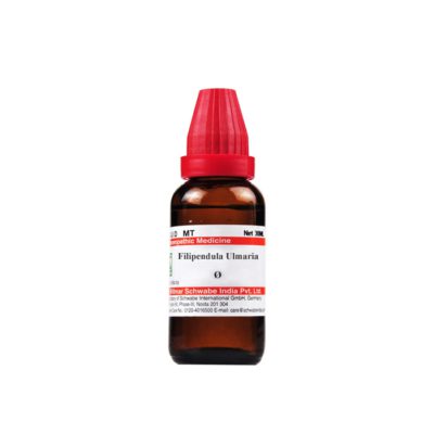 Dr Willmar Schwabe Filipendula Ulmaria Q (30ml)
