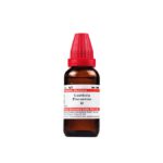 Dr Willmar Schwabe Gaultheria Procumbens Q