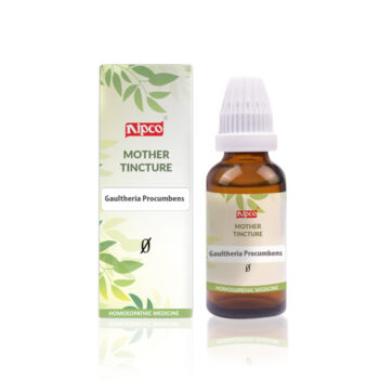 Nipco Gaultheria Procumbens Q (30ml)