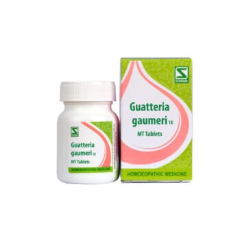 Dr Willmar  Guatteria Gaumeri Tablet 1X (20g)