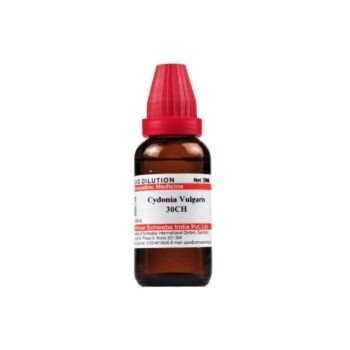 Willmar Schwabe India Cydonia Vulgaris 30 CH (30ml)