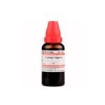 Willmar Schwabe India Cydonia Vulgaris 1X (Q) Mother Tincture (30ml)