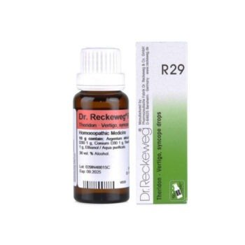 Dr. Reckeweg R29-Vertigo drops (Theridon)
